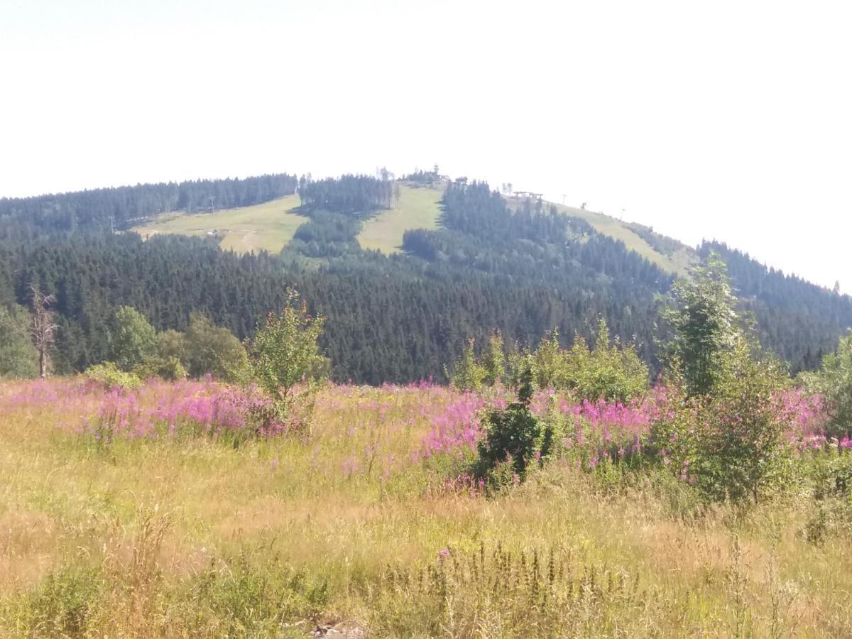 Apartman Abertamy Krusne Hory Zewnętrze zdjęcie